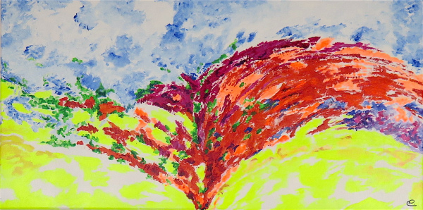 FEU D'ARTIFICE C 60 x 30 x 3,5 cm VENDU